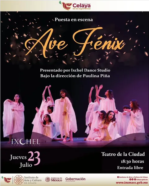 AVE FÉNIX RENACER EN MOVIMIENTO