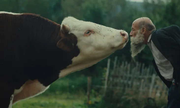 GIFF: BETTER GO MAD IN THE WILD