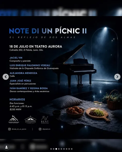 NOTE DI UN PÍCNIC II