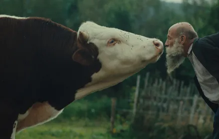 GIFF: BETTER GO MAD IN THE WILD