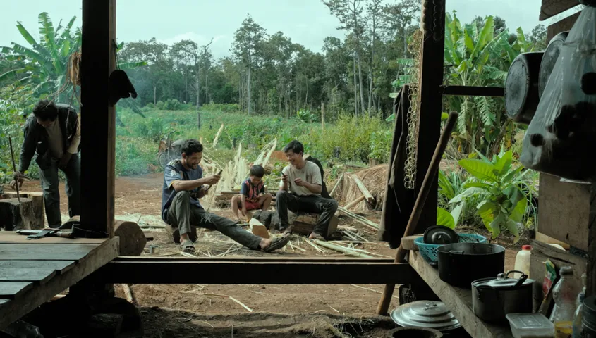 GIFF: WE ARE THE FRUITS OF OUR FOREST